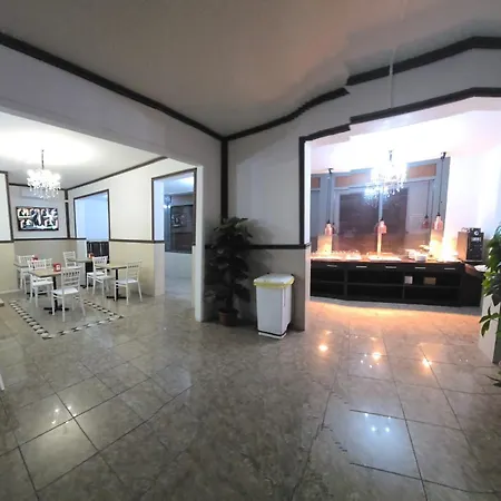 Modena Hotel ホテル
